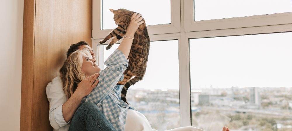 PetPulse Pet Products