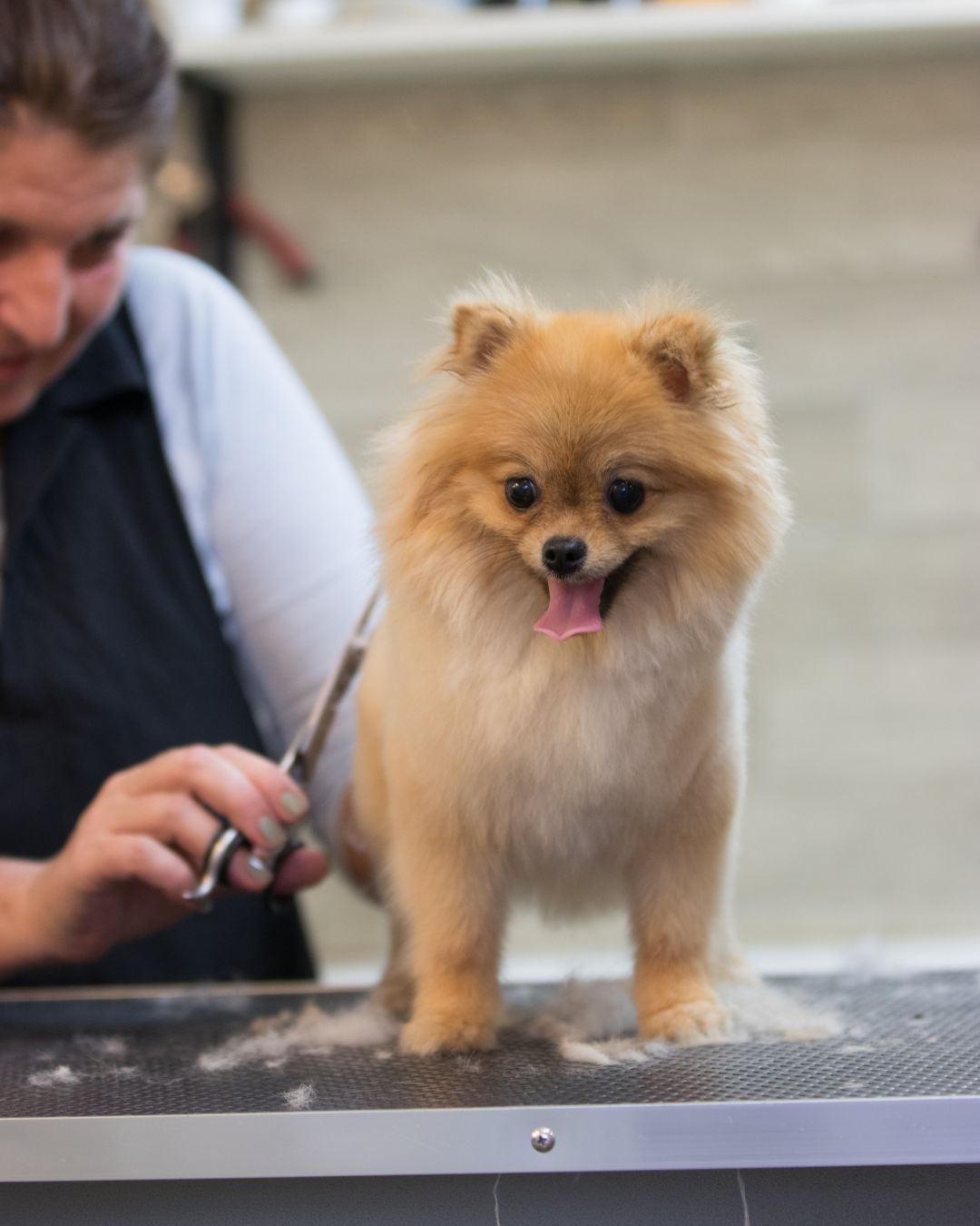 Proper care and maintenance of chew toys