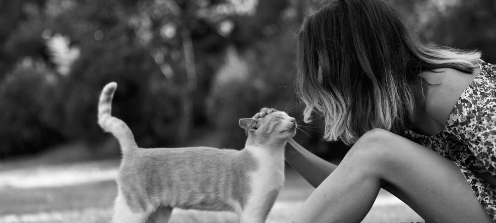 Essential supplies for training and caring for new pets
